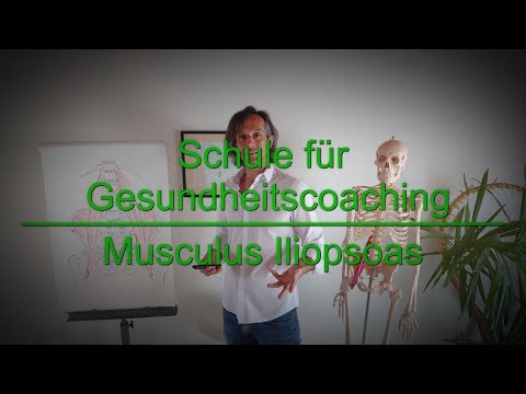 Musculus Iliopsoas erklärt