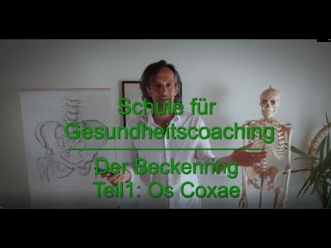 Der Beckenring Teil 1: Os Coxae (das Hüftbein)