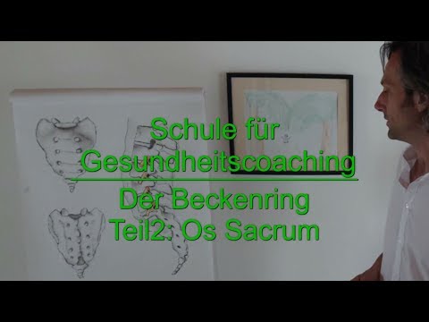 Der Beckenring Teil 2: Os sacrum (das Kreuzbein)